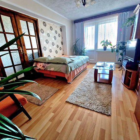 Sabina Apartment Сігішоара Екстер'єр фото